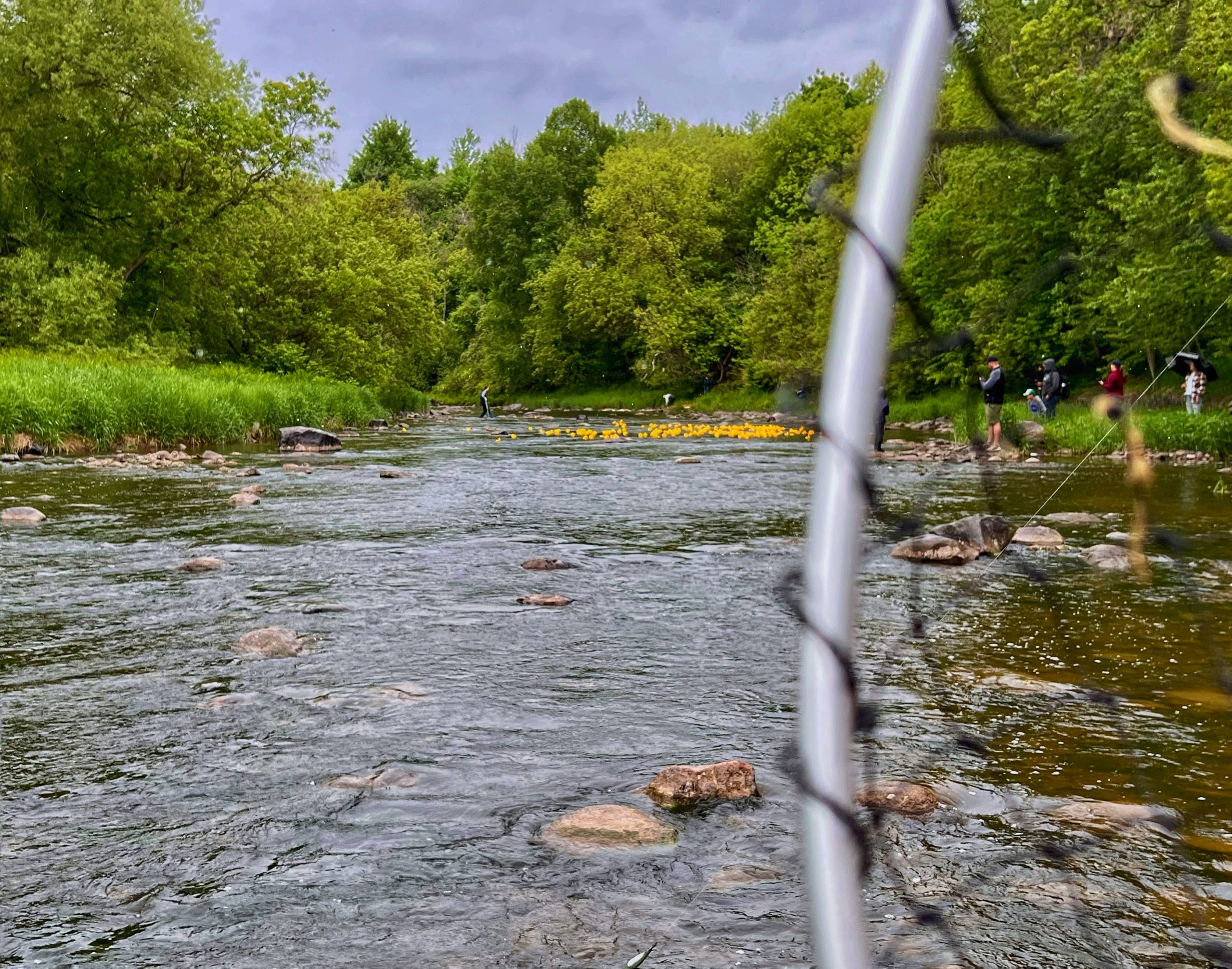 IMG_8451_SnapseedCopy